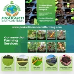 Prakarti Commercial Farming