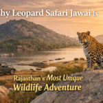 Leopard-Safari-Jawai